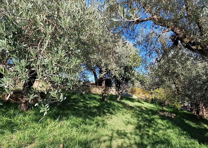 Apartament Habitat -